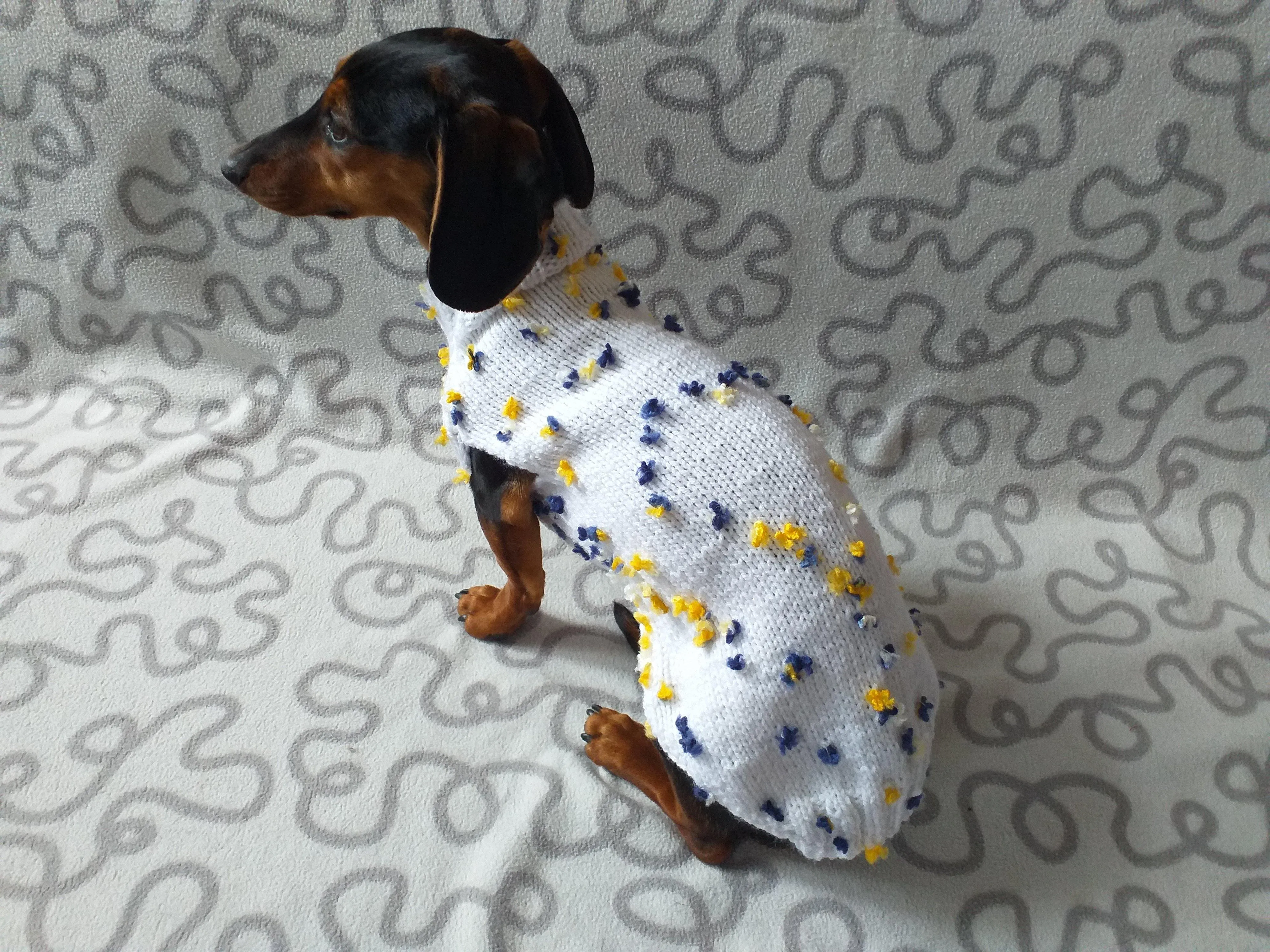 White Floral Mini Dachshund Jumper, Dog Coat, Clothes Dog Sweater