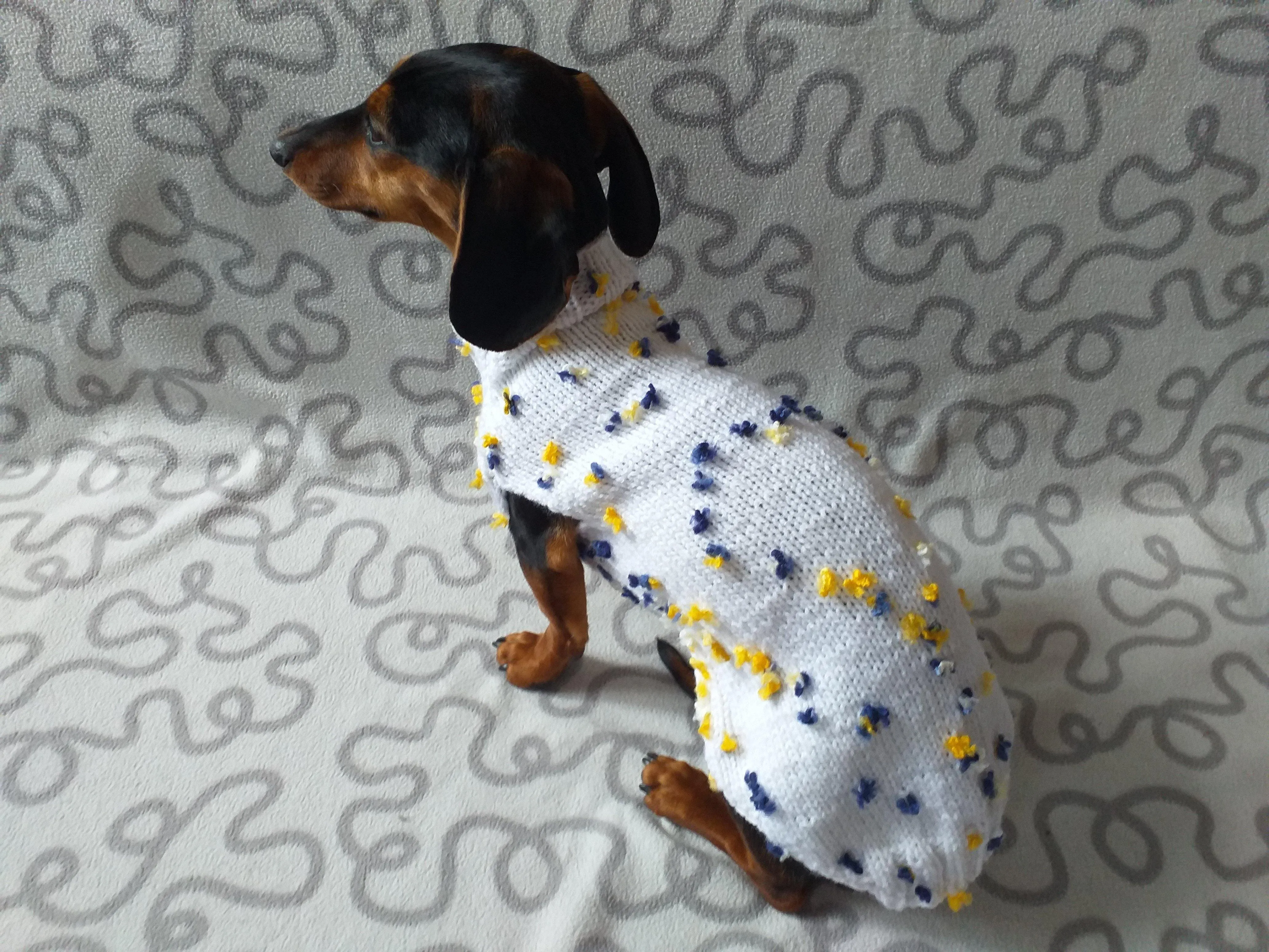 White Floral Mini Dachshund Jumper, Dog Coat, Clothes Dog Sweater