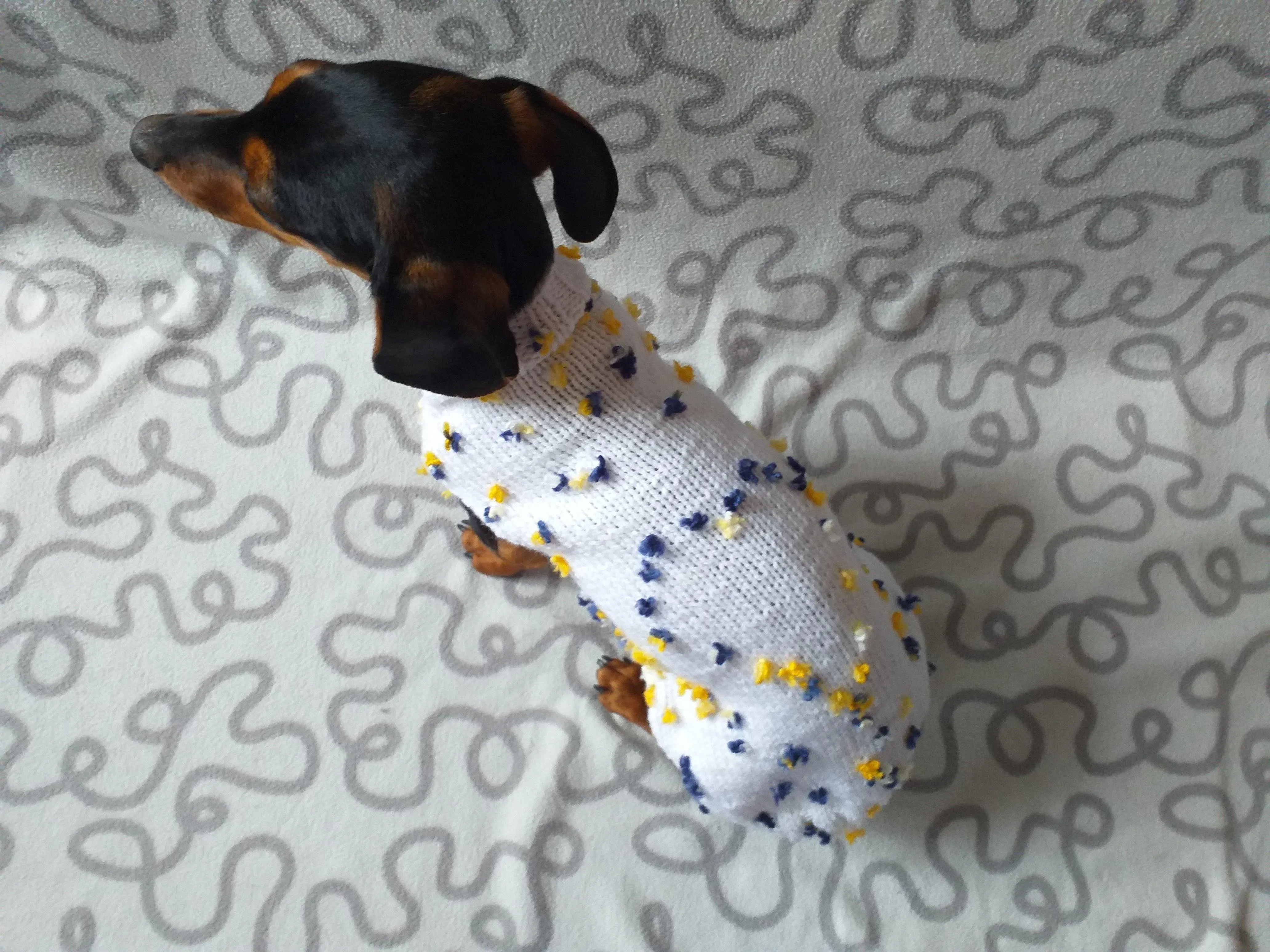 White Floral Mini Dachshund Jumper, Dog Coat, Clothes Dog Sweater