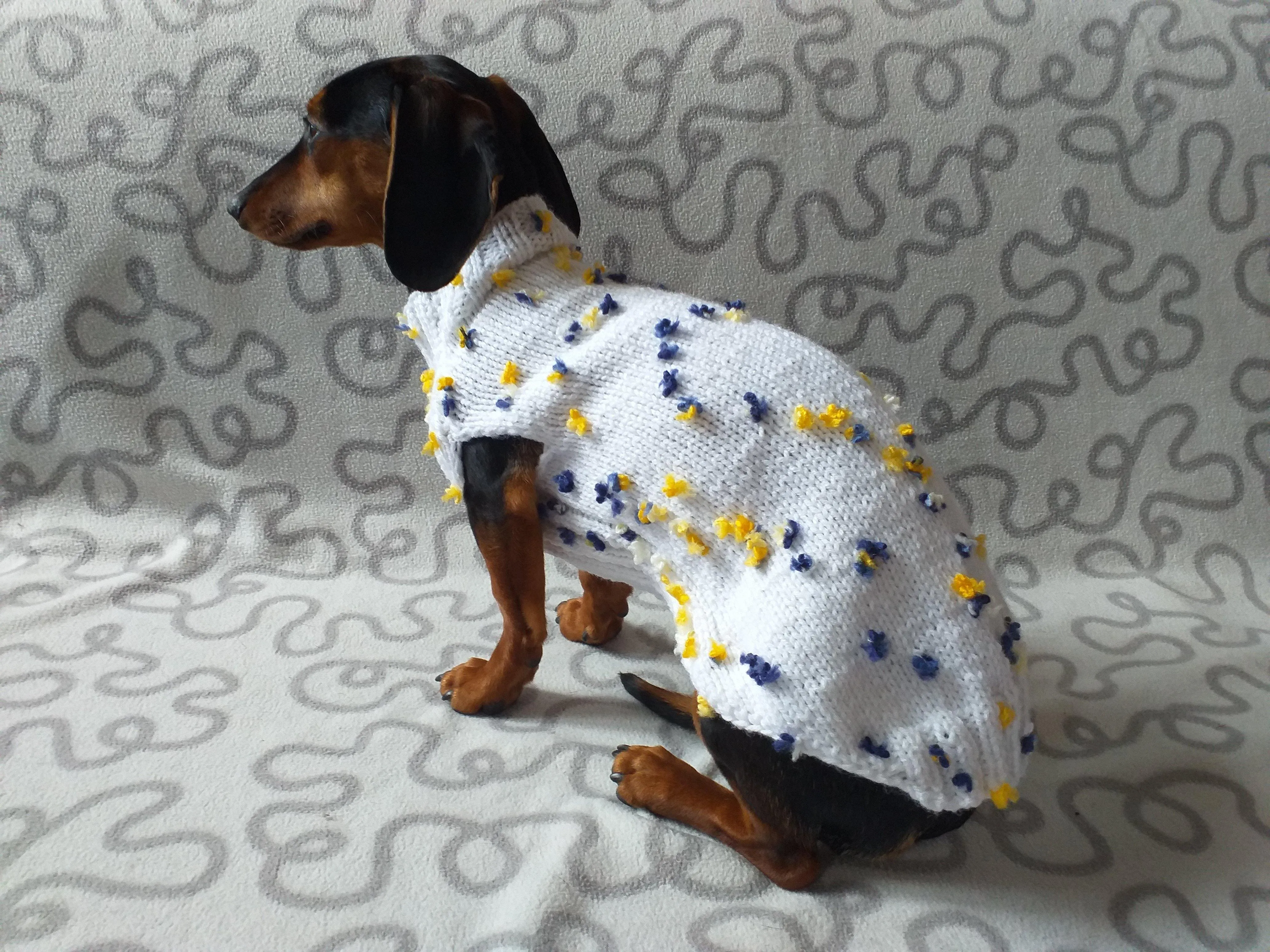 White Floral Mini Dachshund Jumper, Dog Coat, Clothes Dog Sweater